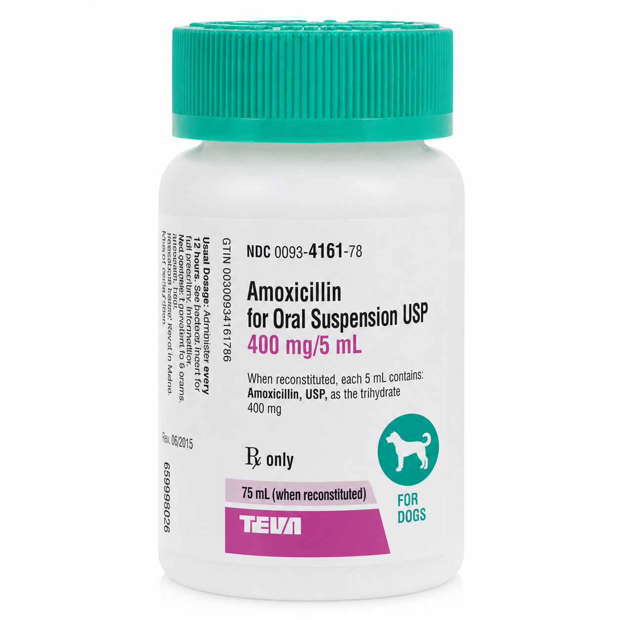 Amoxil Dog